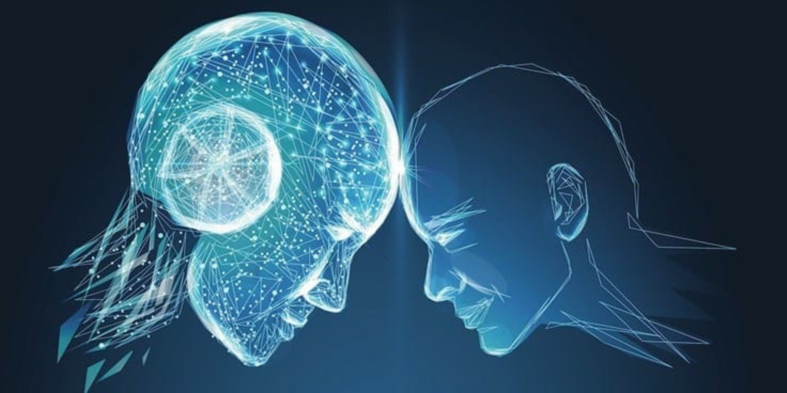 Author vs. Algorithm: How Today’s Writers Are Adapting to the Digital Era